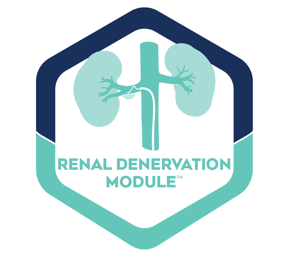 Renal Denervation Module