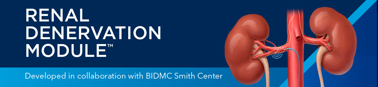 Renal Denervation Module